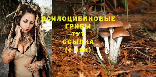 СК Аркадак